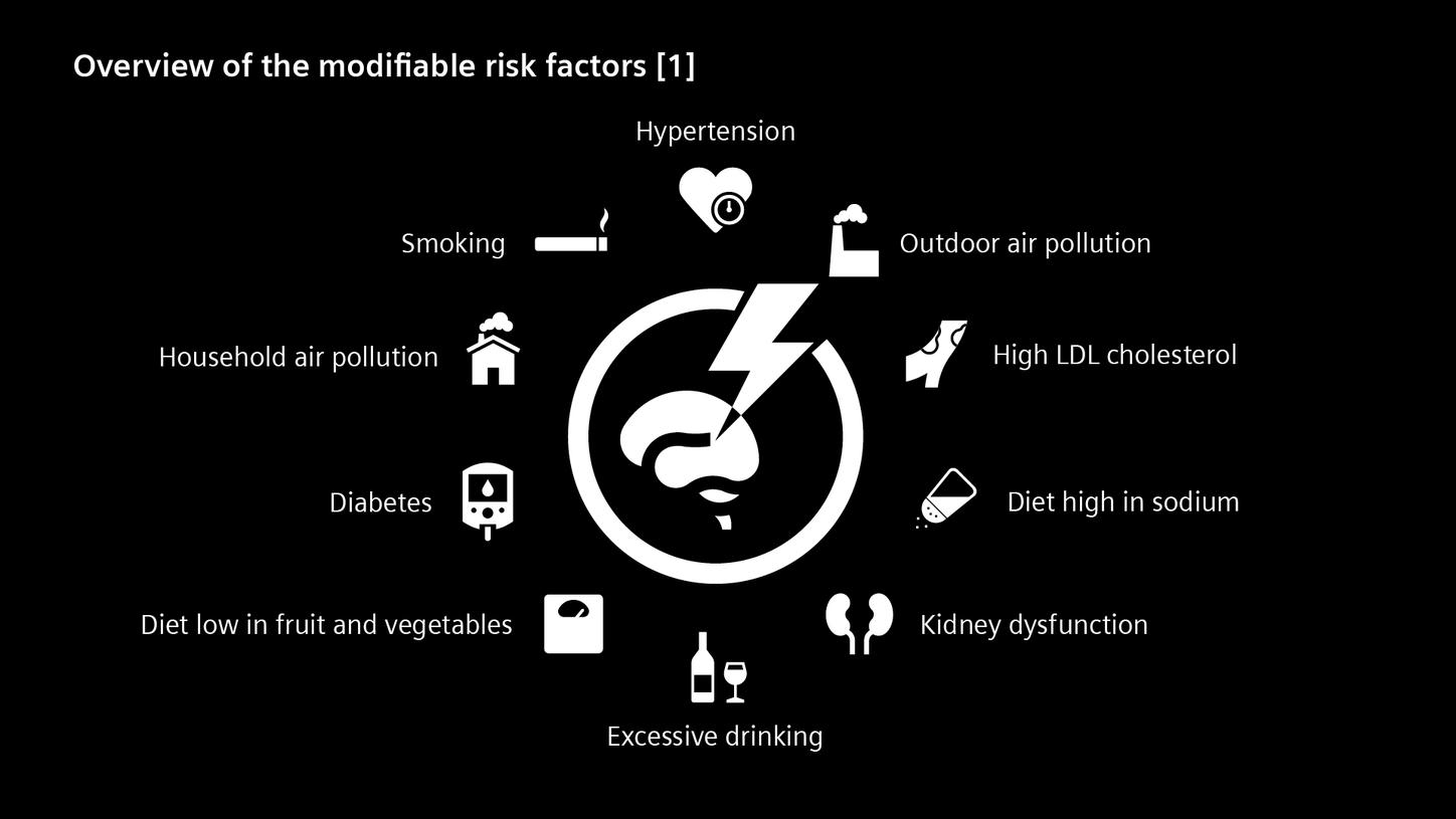 Overview of the modifiable risk factors