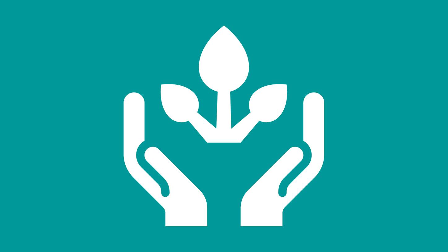 Icon of hands protecting a plant