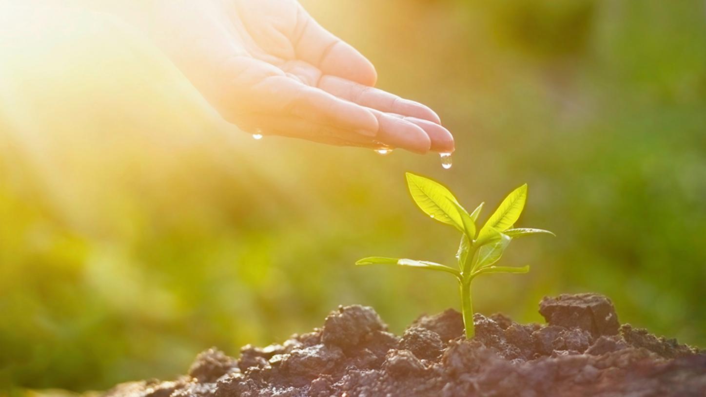 Supplier Sustainability Environment 