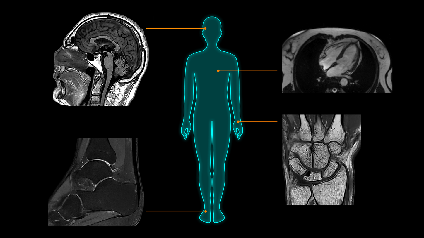 Clinical excellence from head to toe​